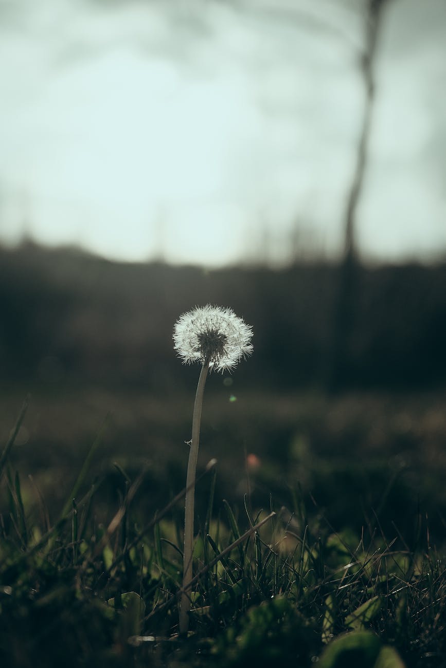 [부부관계] 함께 걸어가는 남편과 아내