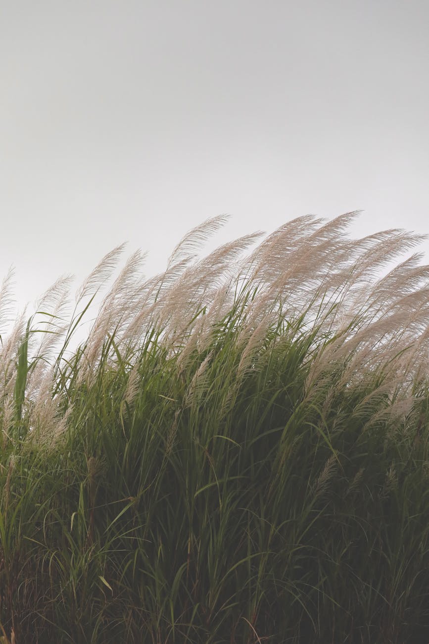 하나님의 섭리는 어디까지 인가요?