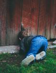photo of boy peeking on brown wooden fence