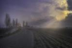 misty sunrise over veneto countryside
